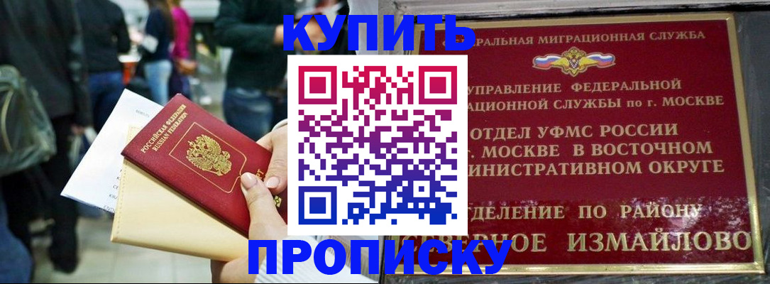 временная прописка в Звенигово